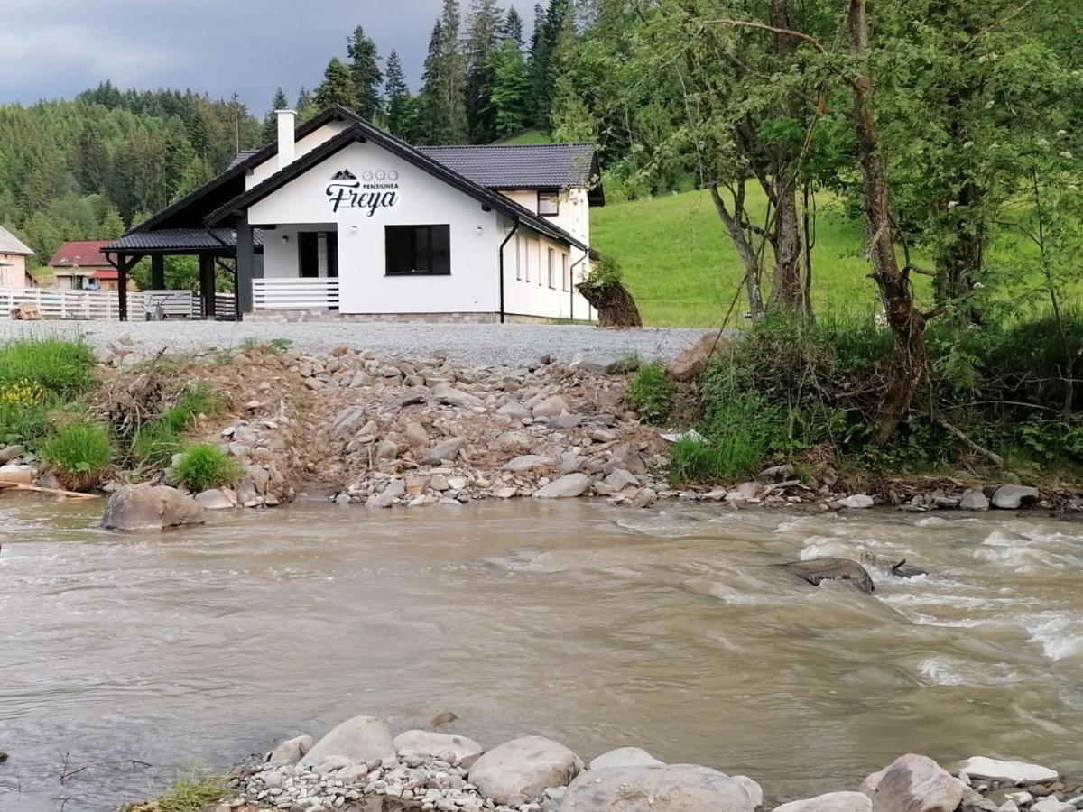 Pensiunea Freya Colibita Bagian luar foto
