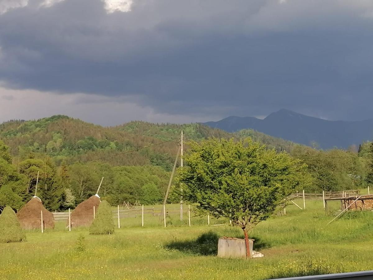 Pensiunea Freya Colibita Bagian luar foto